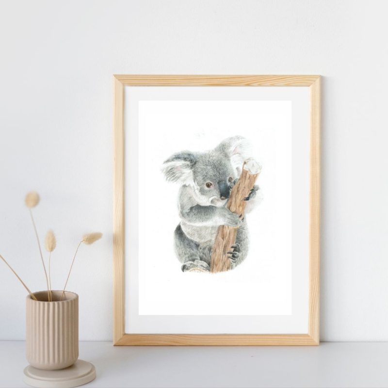 Koala Fine Art Print