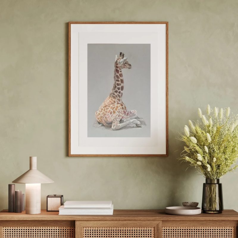 Baby Giraffe Fine Art Print