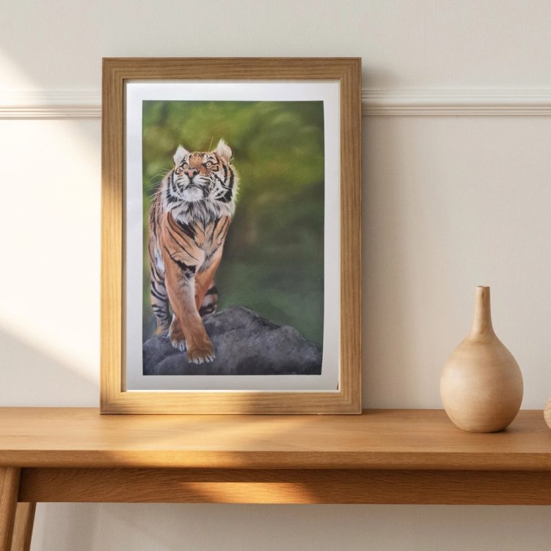Tiger Fine Art Print