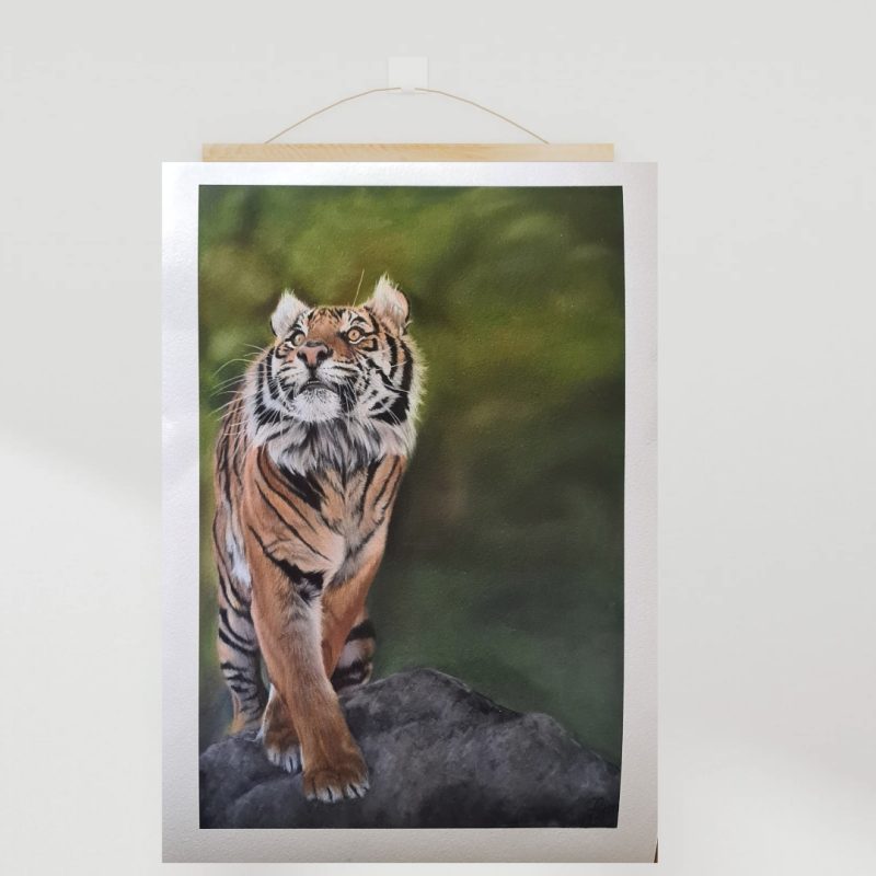 Tiger Fine Art Print