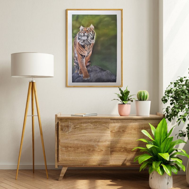 Tiger Fine Art Print