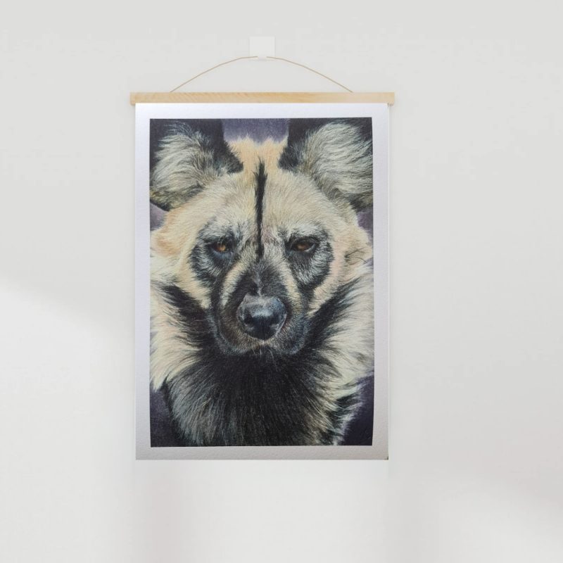 African Wild Dog Wildlife Fine Art Print