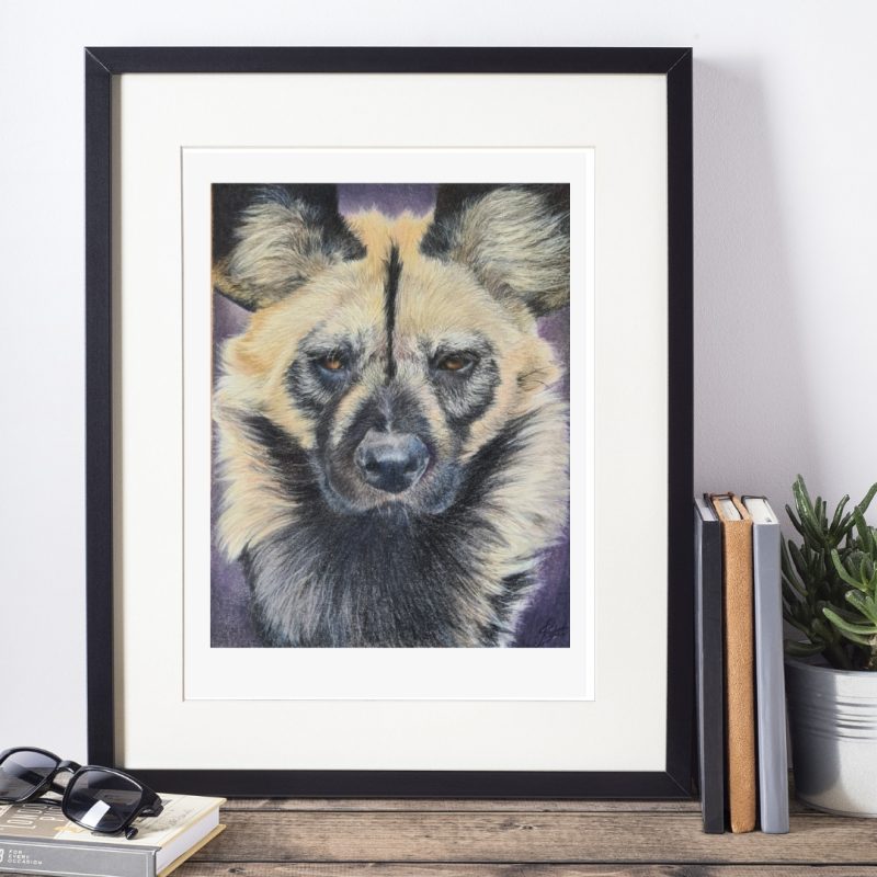 African Wild Dog Wildlife Fine Art Print