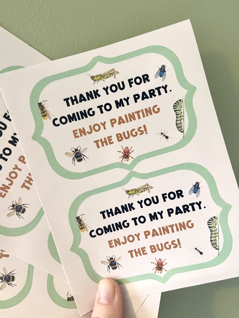 Bug Party Box Stickers