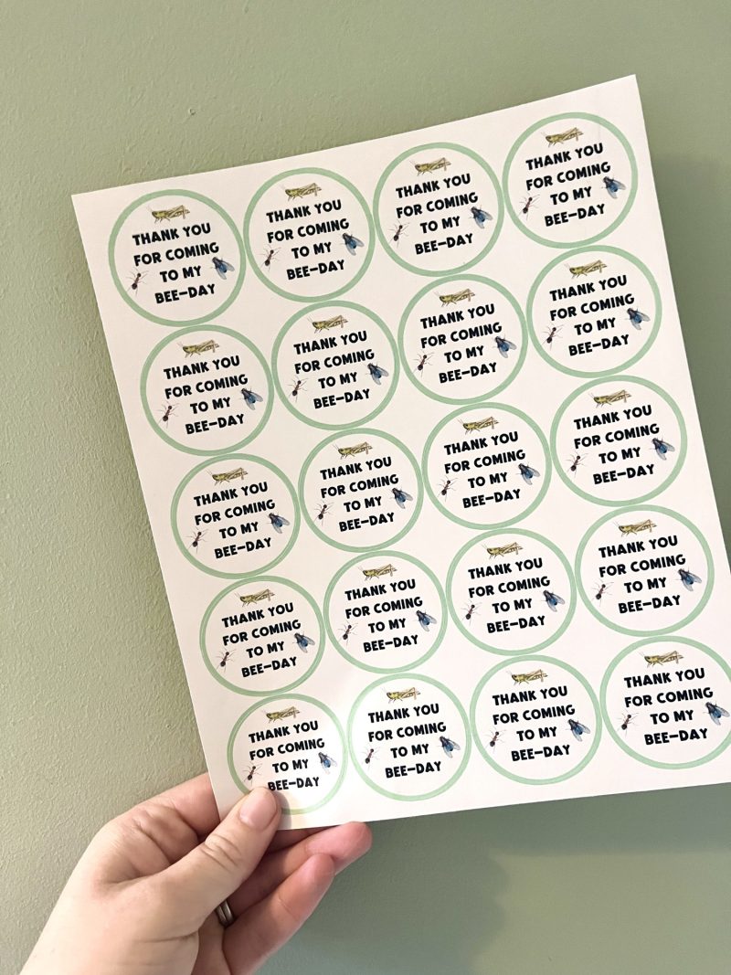 Bug Sticker Sheets