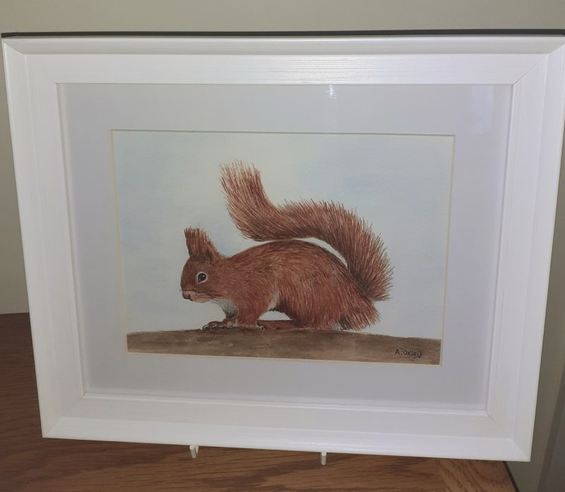 Red Squirrel, original watercolour painting ready to hang on a wall. Makes ideal gift.