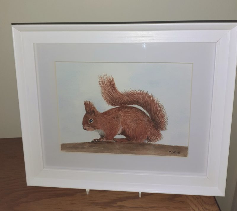 Red Squirrel, original watercolour painting ready to hang on a wall. Makes ideal gift.