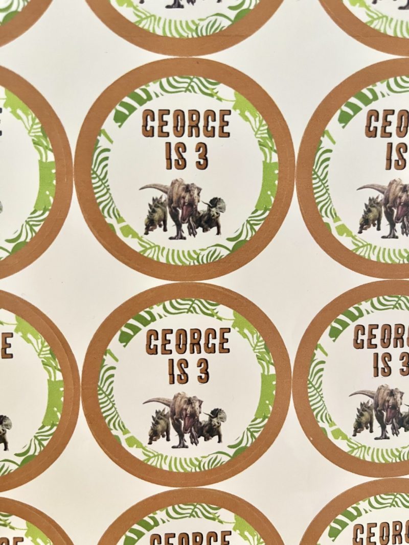 Jungle Dinosaur Sticker Sheets