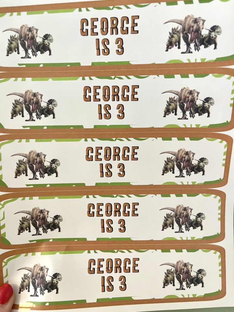 Jungle Dinosaur Water Bottle Labels