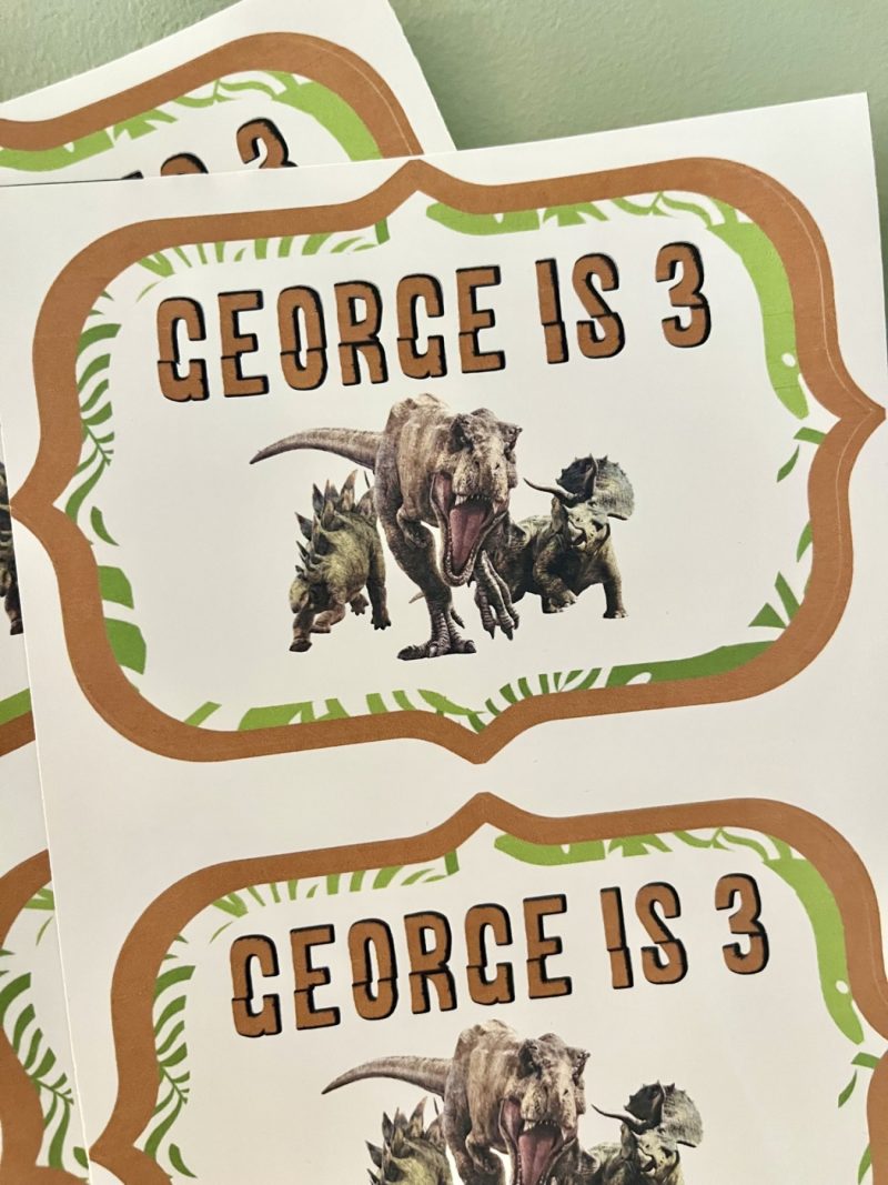 Jungle Dinosaur Party Box Stickers