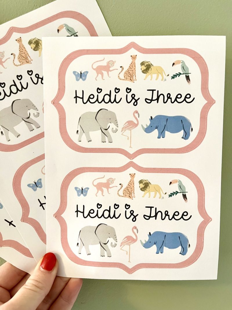 Pink Safari Party Box Stickers