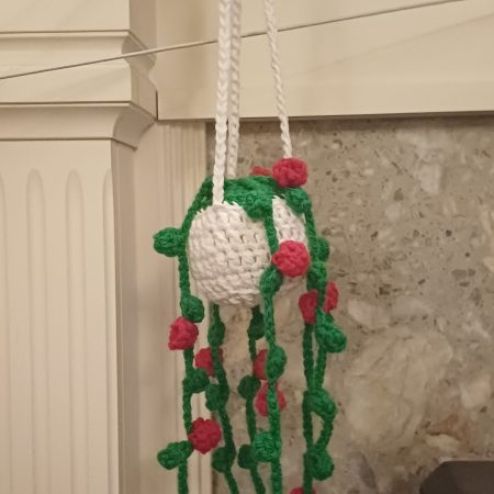 Crochet Hanging Basket with Plant Decoration
