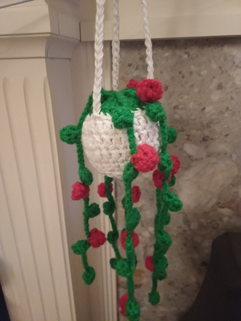 Crochet Hanging Basket with Plant Decoration