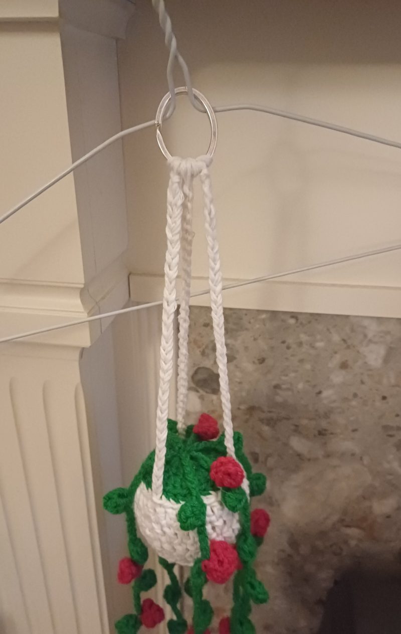 Crochet Hanging Basket with Plant Decoration