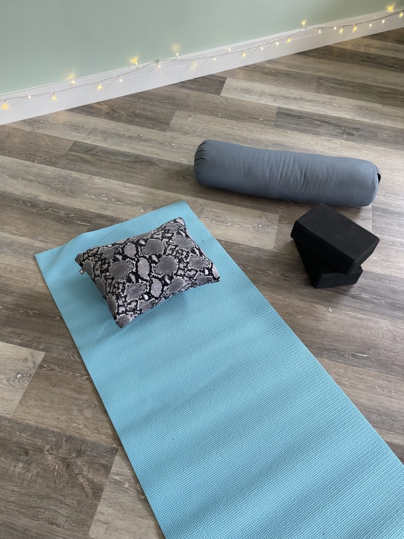 Mini pillow with removable cover ("Supersoft Snake")