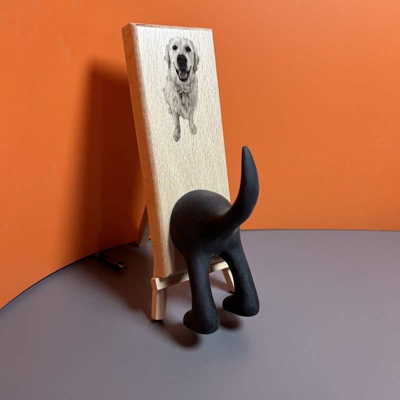 Dog Accessory Holder