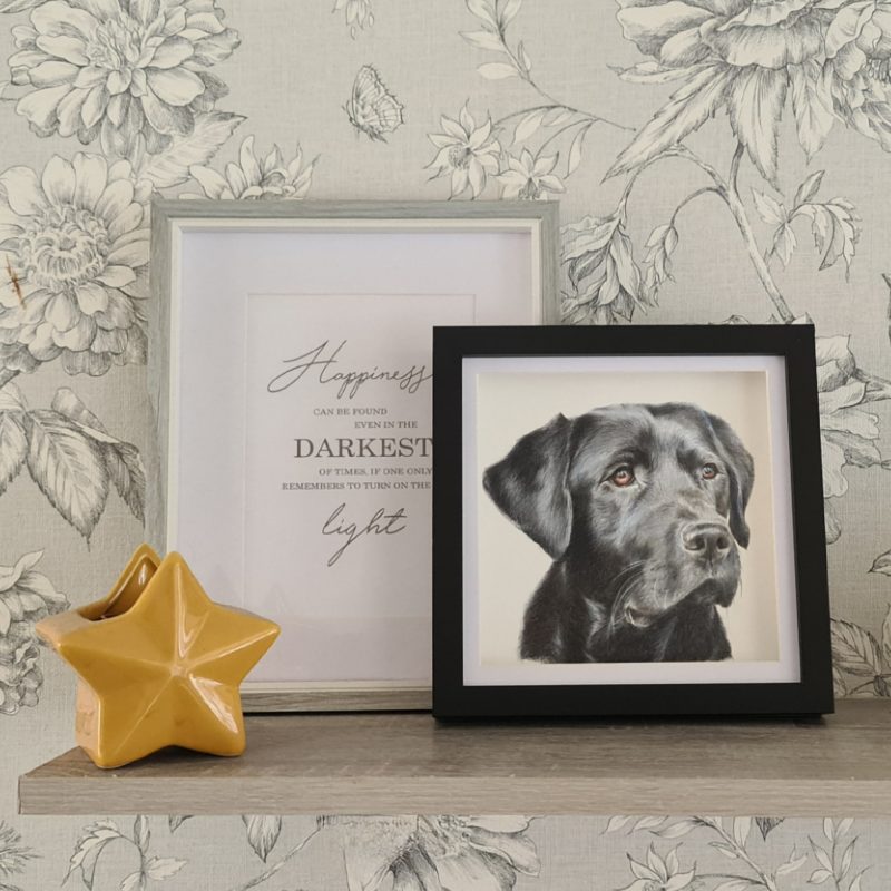 Mini Personalised Pet Portrait | 18 by 18 cm | Black Box Frame
