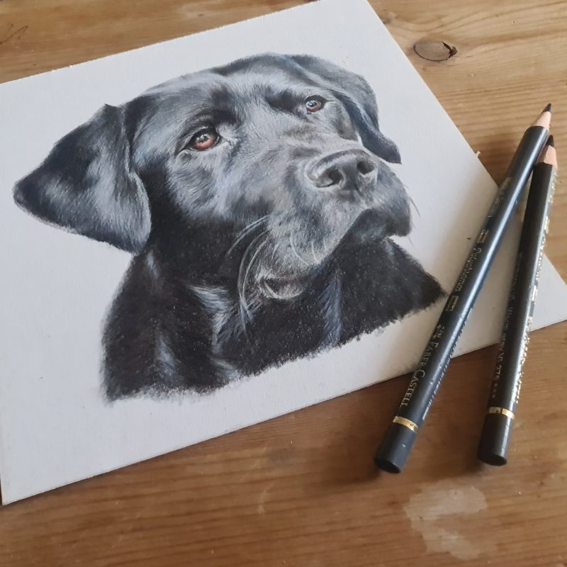 Mini Personalised Pet Portrait | 18 by 18 cm | Black Box Frame