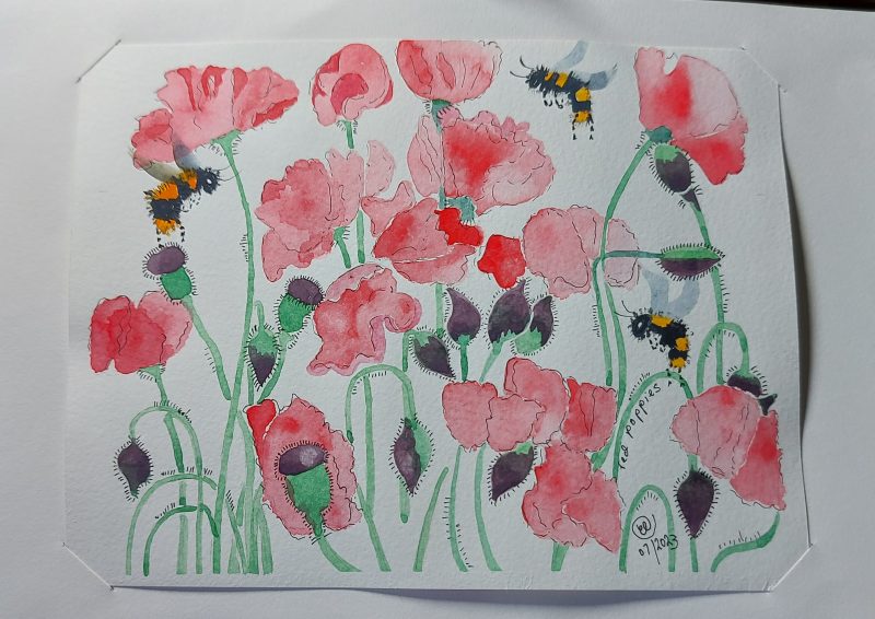 Bumble bees and red common poppies, mountable painting, 9x7 in