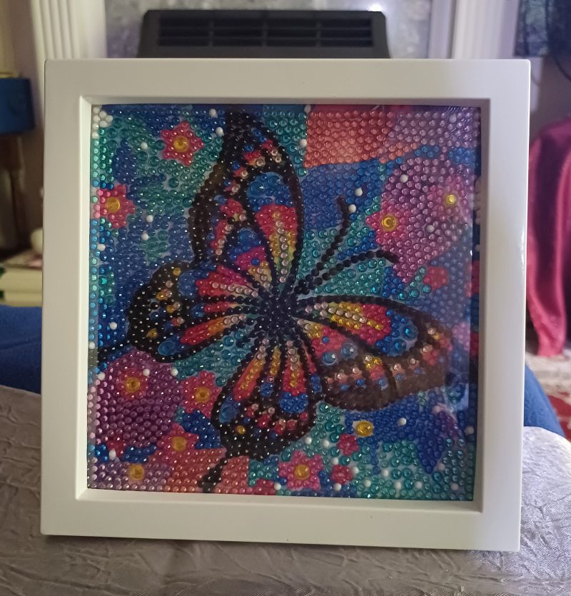 Sparkly Butterfly Diamond Art Picture
