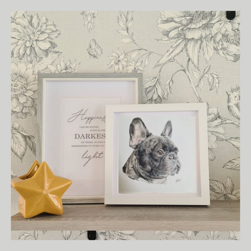 French Bulldog Framed Original Drawing | 18 by 18 cm | Black Box Frame