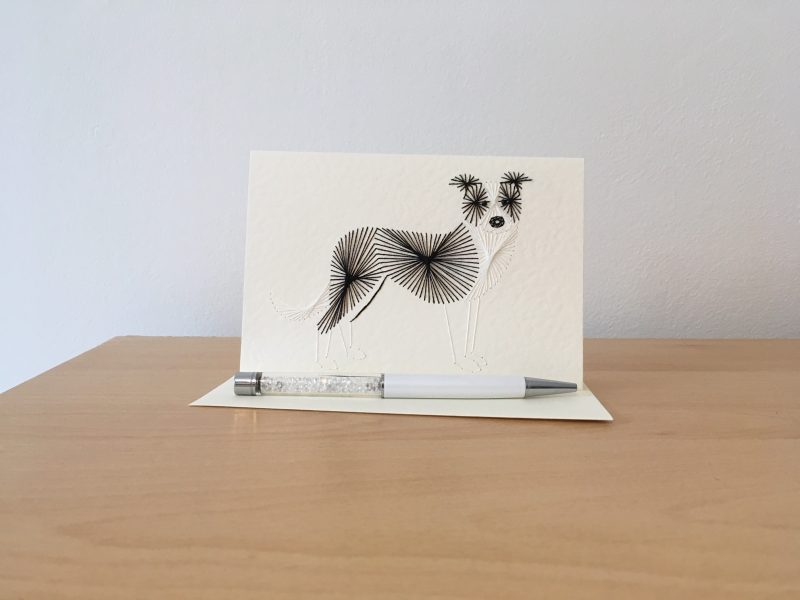 Border Collie Greetings Card| Birthday |Congratulations| Liver and White
