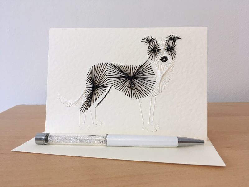 Border Collie Greetings Card| Birthday |Congratulations| Liver and White