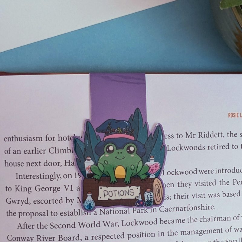Magic Frog Magnetic Bookmark