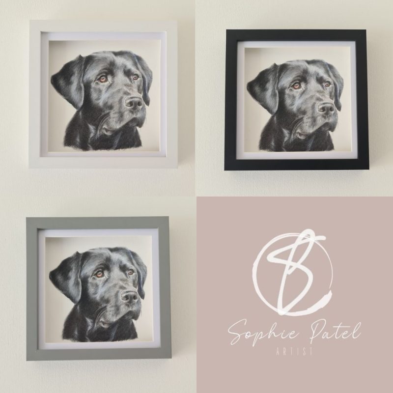 Mini Personalised Pet Portrait | 18 by 18 cm | Black Box Frame