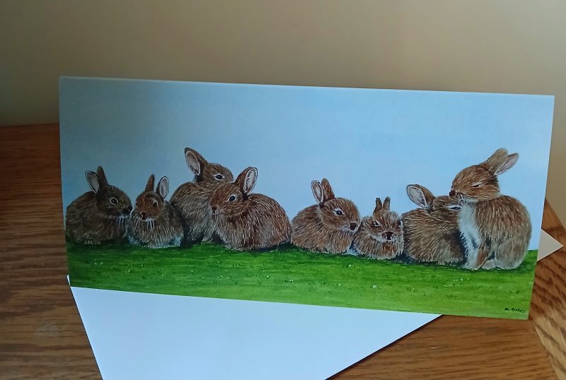 Rabbits card with white envelope, Rabbits blank card
