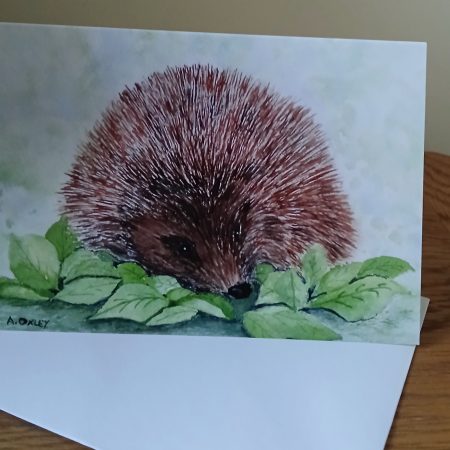 Hedgehog Greetings card with white envelope, Hedgehog blank card