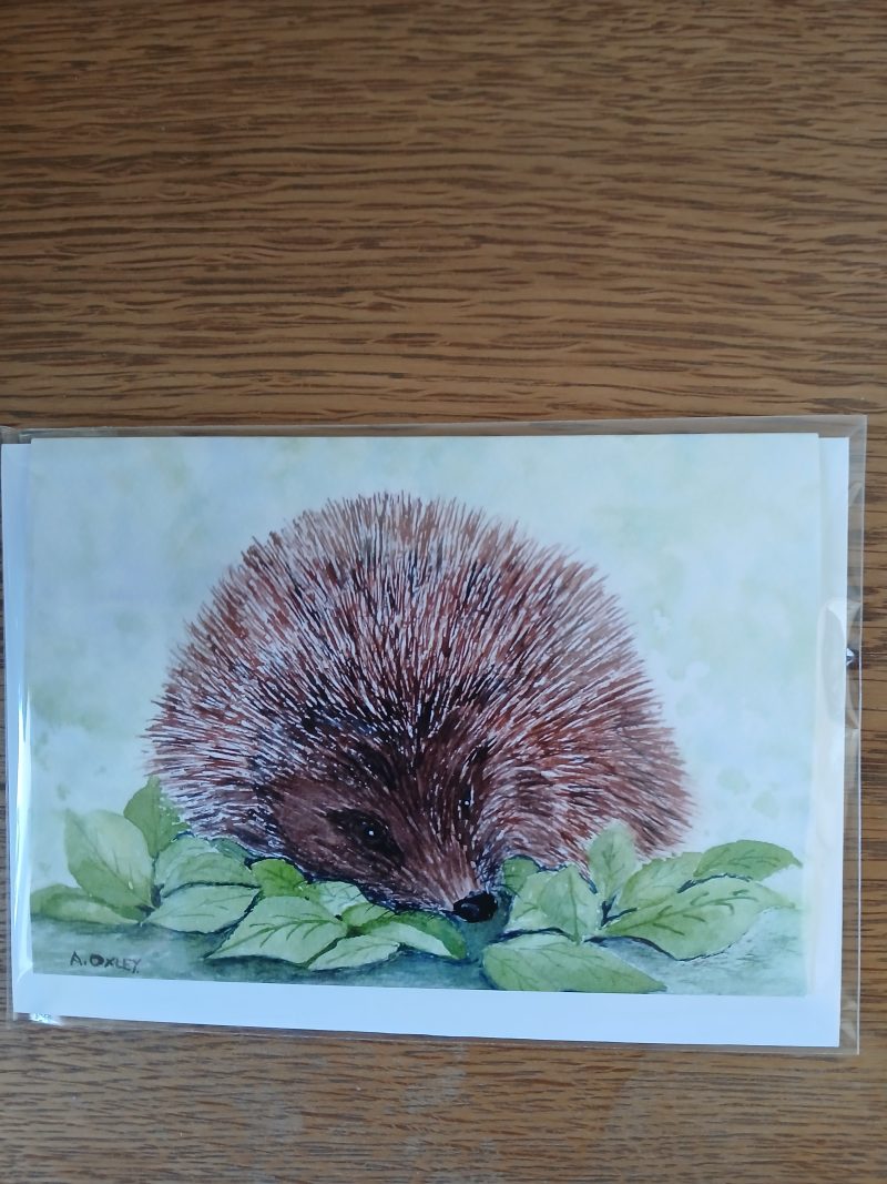 Hedgehog Greetings card with white envelope, Hedgehog blank card