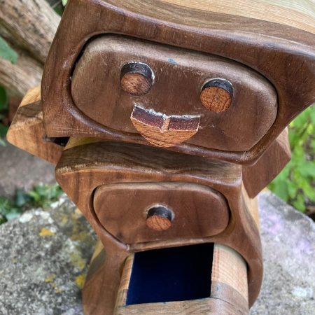 Robotic Drawer: A Touch of Whimsy