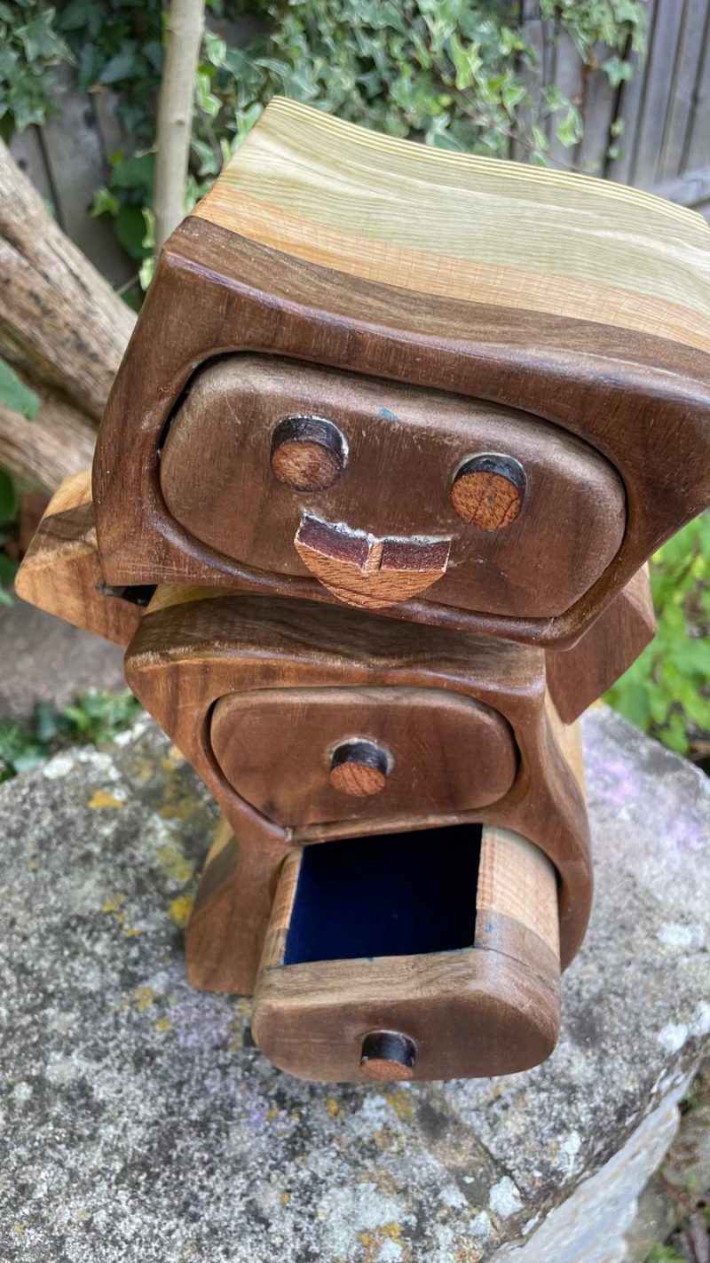 Robotic Drawer: A Touch of Whimsy