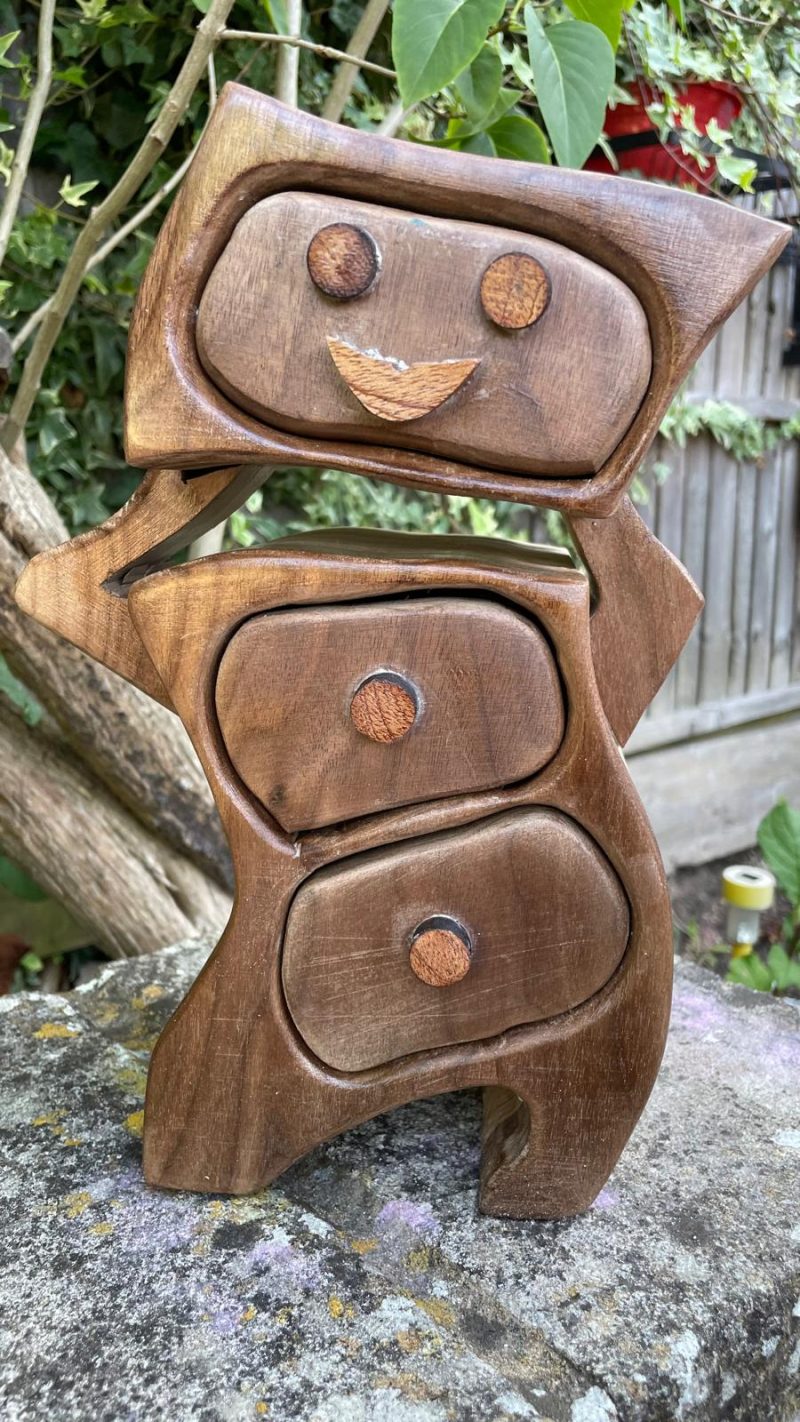 Robotic Drawer: A Touch of Whimsy