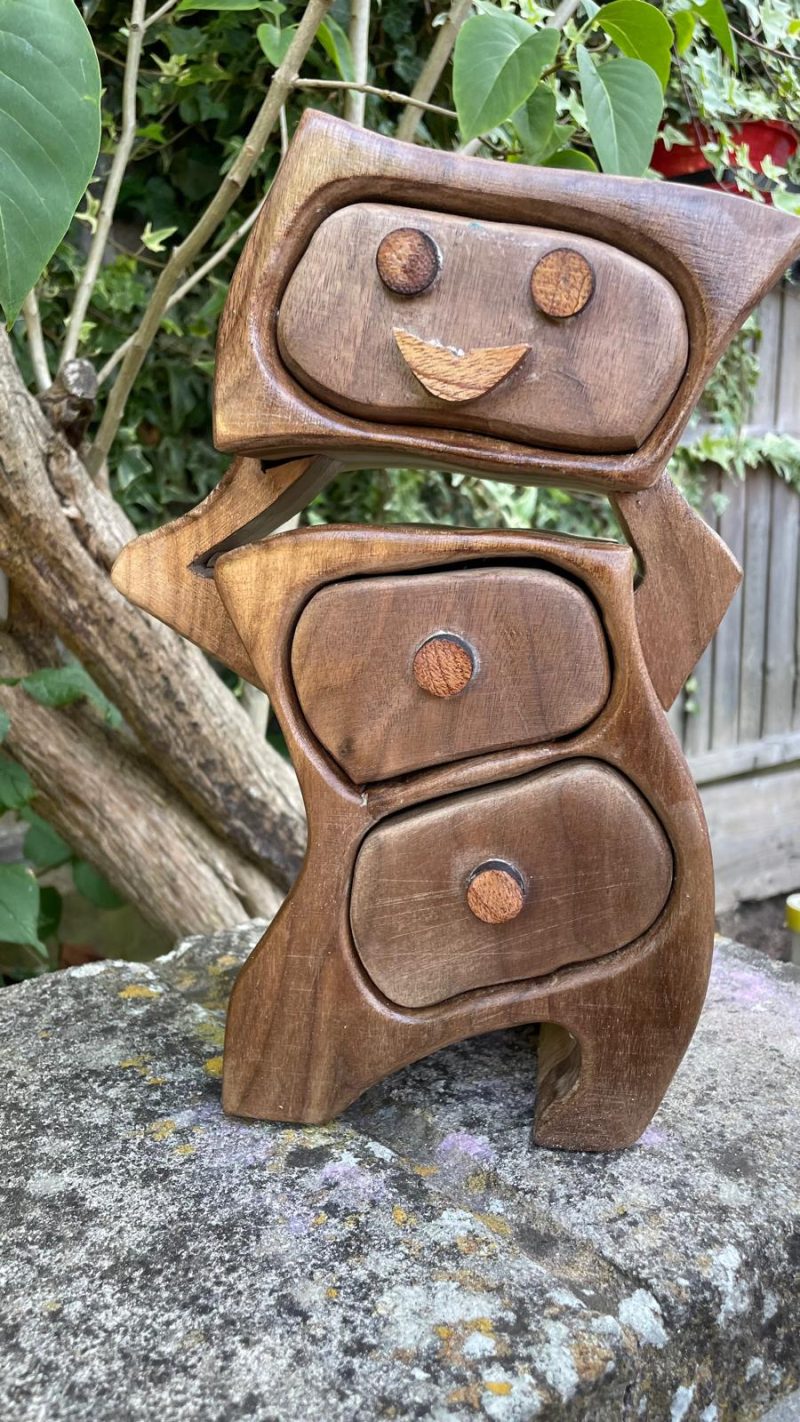 Robotic Drawer: A Touch of Whimsy