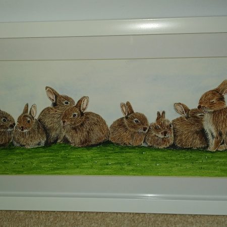 Rabbits framed original watercolour painting