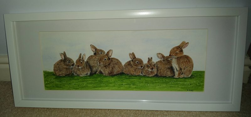 Rabbits framed original watercolour painting