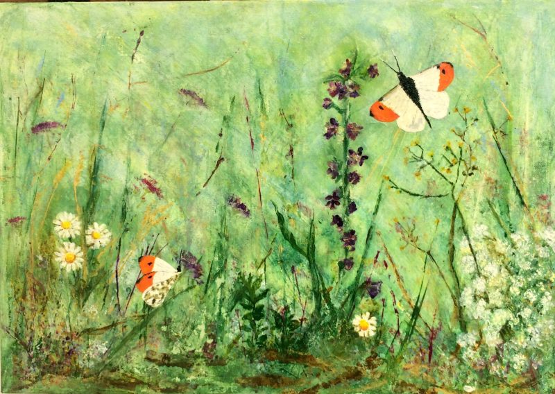 Orange Tip Butterfly (The Pieridae) Acrylic on Canvas - Wall Art - Original Painting.