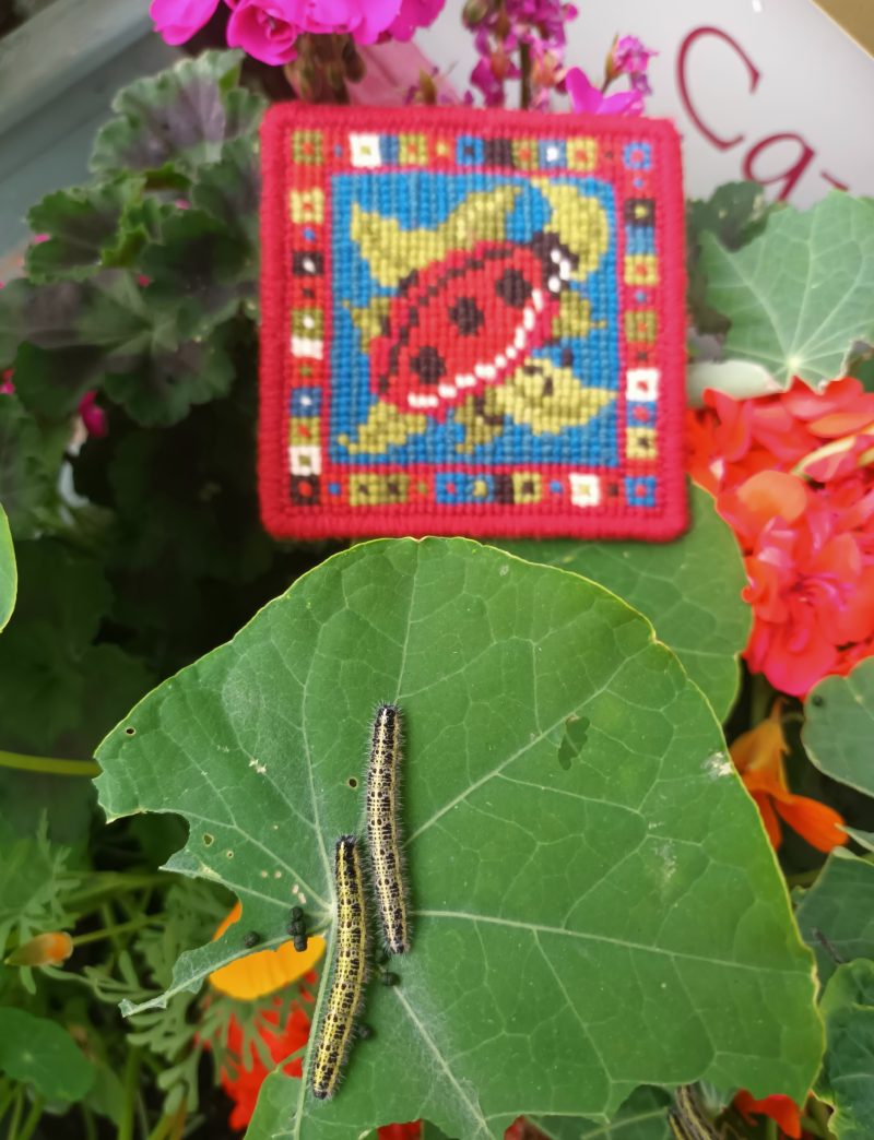 Little Ladybird Tapestry Kit, Counted Cross-stitch, Needlepoint, Easy,