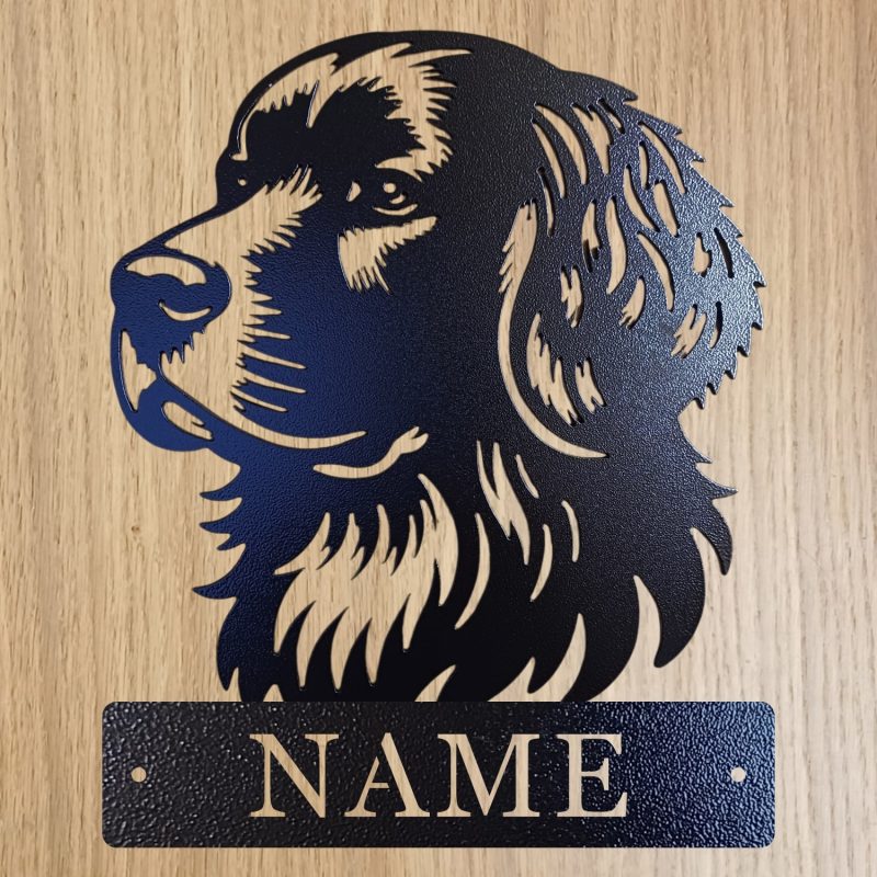 Personalised Steel Springador