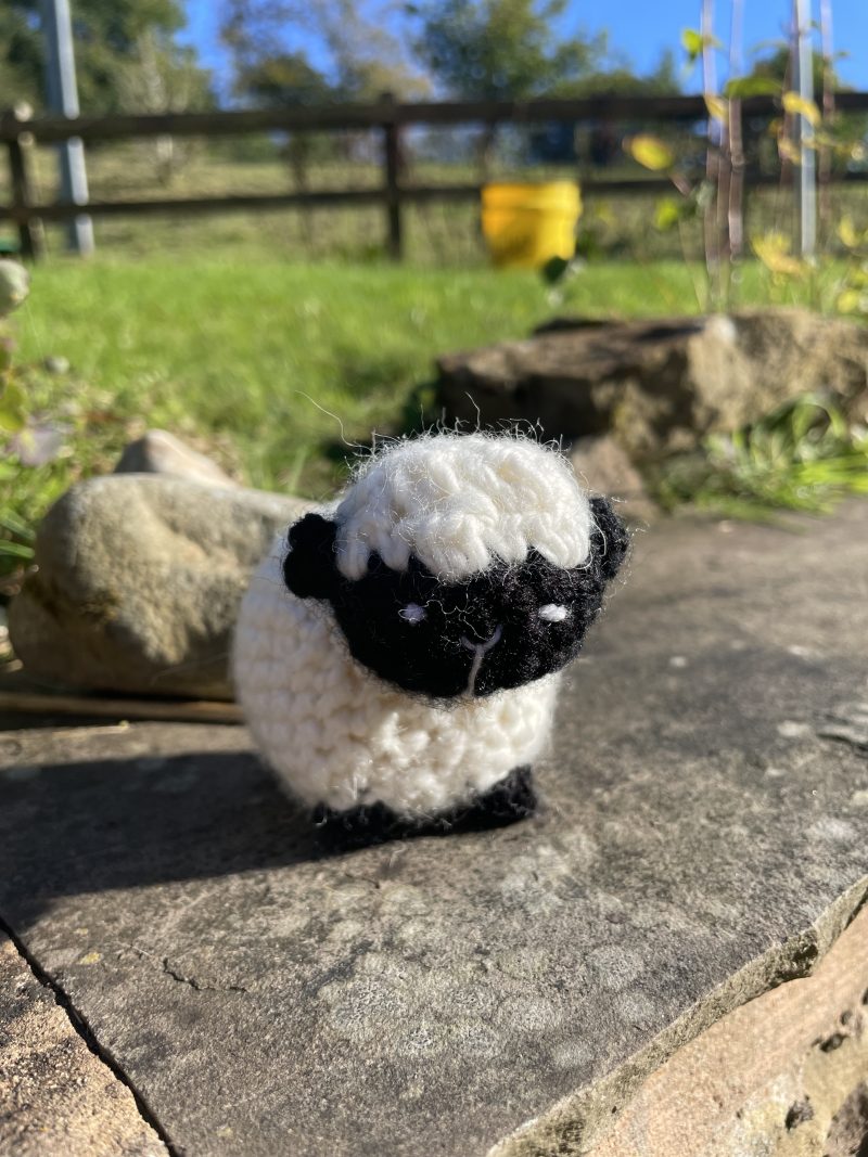 Crochet wooly sheep