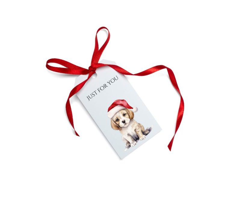 Instant Digital Download - Christmas Gift Tags Option 2
