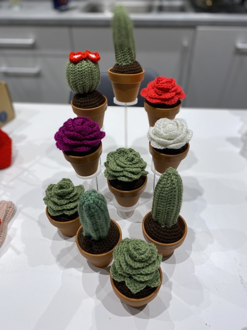 Handmade Crochet Cacti in Pots, Crochet Gifts, Crochet Cactus, Crochet Succulents