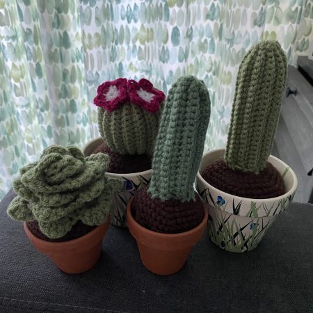Handmade Crochet Cacti in Pots, Crochet Gifts, Crochet Cactus, Crochet Succulents
