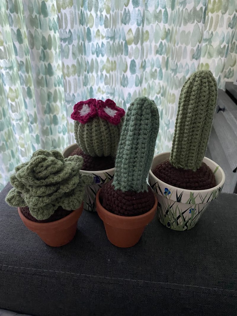 Handmade Crochet Cacti in Pots, Crochet Gifts, Crochet Cactus, Crochet Succulents