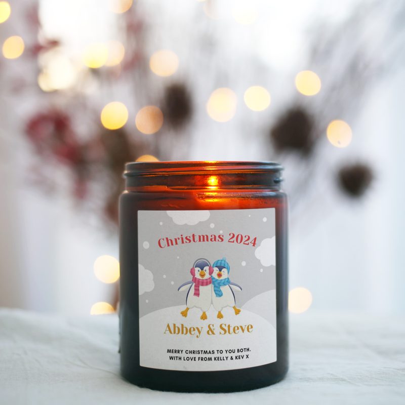 Couple's Christmas Gift Penguin Candle, Soy Wax Includes Gift Box & Matches