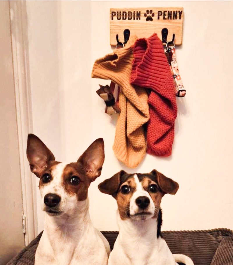 Dog and keys hook, key hook, dog lead and coat hook / holder | gift for dog lover
