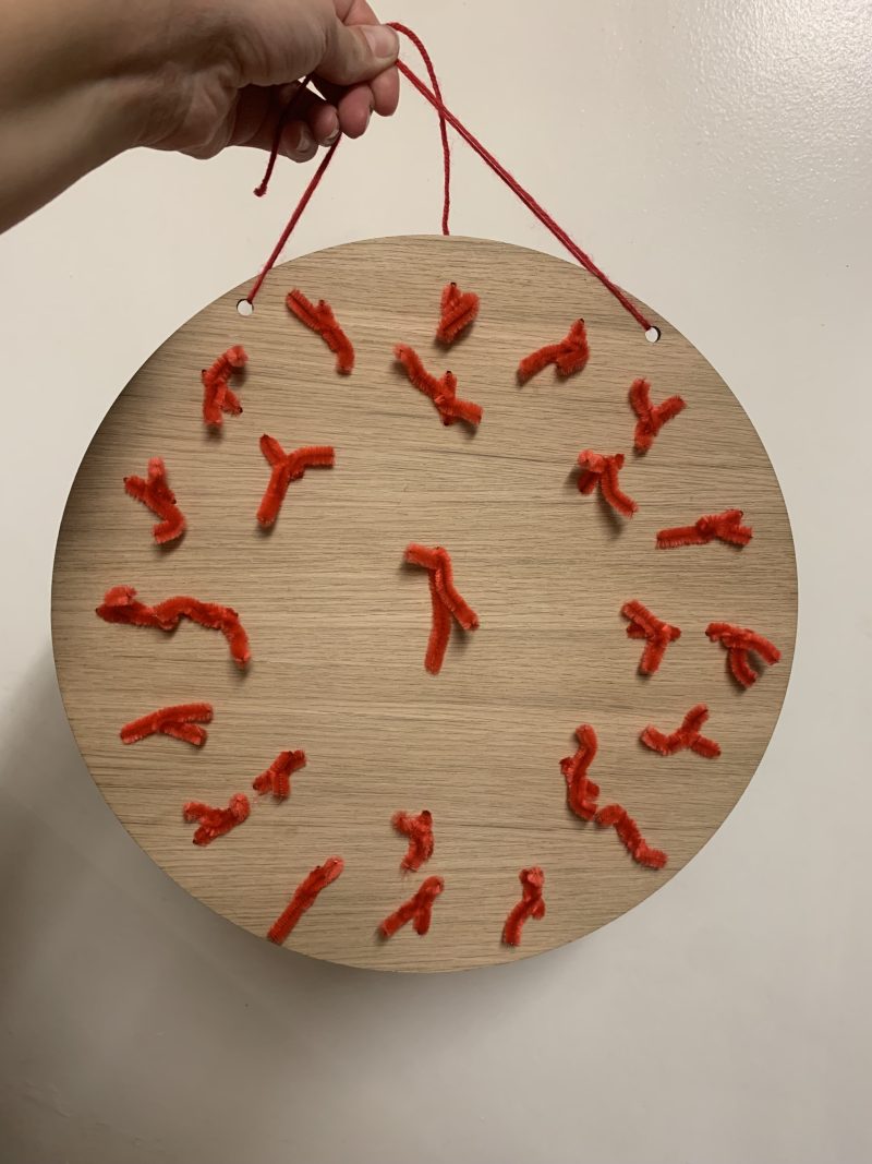 Dog advent calendar | gifts for pet lovers, dog owner, pets
