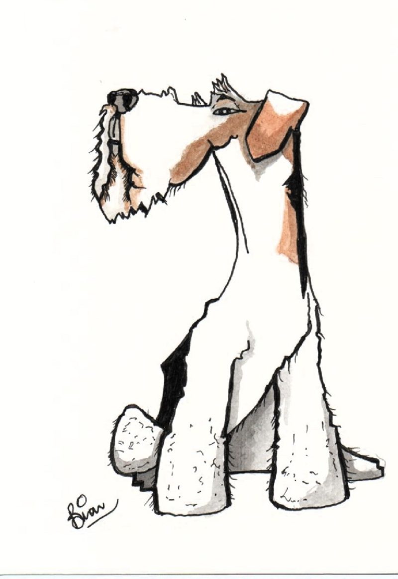 An A4 print of this portrait of airdale terrie
